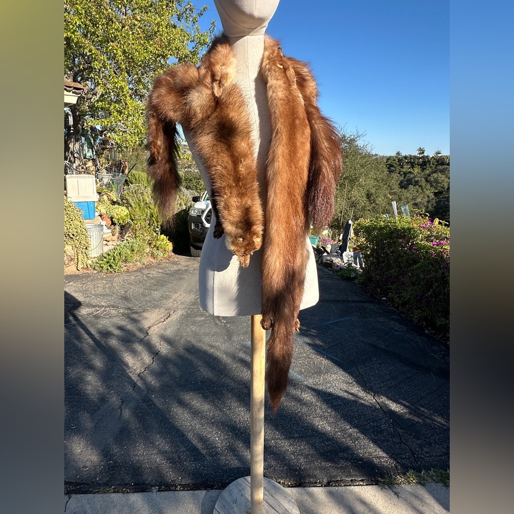 DRAMA Vintage 20s FUR Chestnut Brown Full Body MINK Stole Scarf - Movie Star